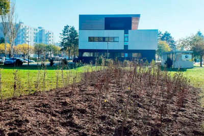 Plantation de notre première mini-forêt urbaine