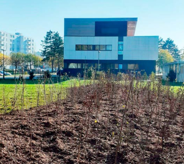 Plantation de notre première mini-forêt urbaine