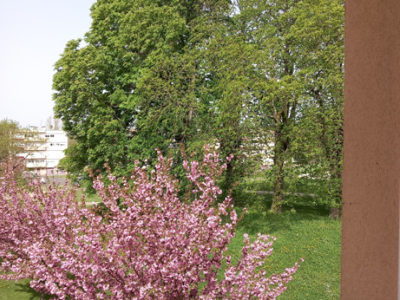 Appartement Autun 2 pièces - 465€