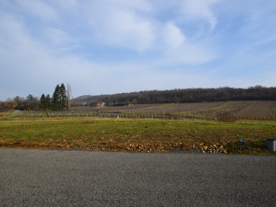 Terrain Berzé-la-Ville - 95550€