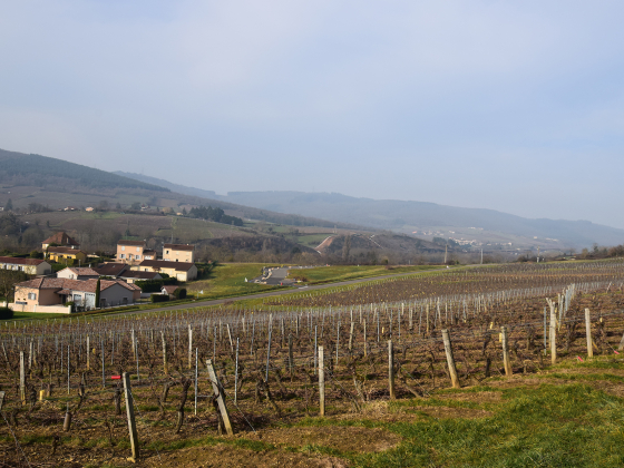 Terrain Berzé-la-Ville - 112340€