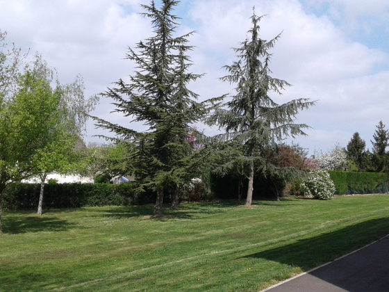 Appartement Chagny 2 pièces - 486.49€