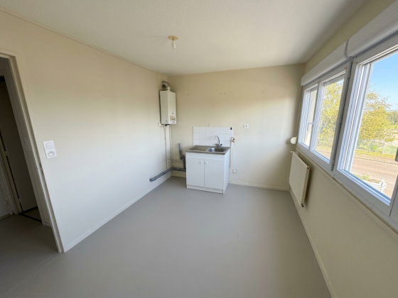 Appartement Digoin 2 pièces - 355.47€