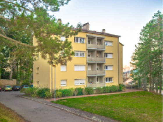 Appartement Matour 4 pièces - 534.66€
