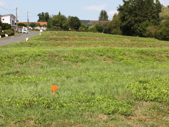 Terrain Montceau-les-Mines - 39100€