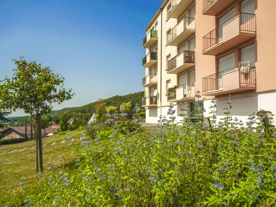 Appartement Montcenis 3 pièces - 499.62€
