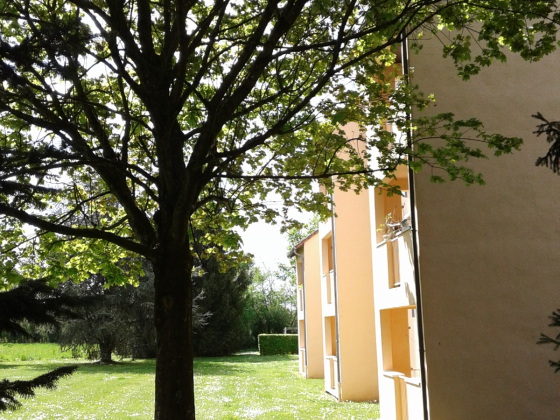 Appartement Saint-Germain-du-Bois 1 pièce - 341.2€