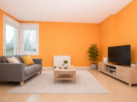 Appartement Saint-Laurent-d'Andenay 3 pièces - 503.54€