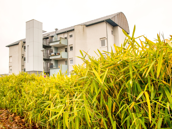 Appartement Torcy 3 pièces - 547.07€