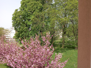 Appartement Autun 2 pièces - 465€