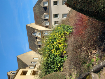 Appartement Autun 3 pièces - 566.96€