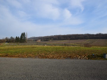 Terrain Berzé-la-Ville - 88589€