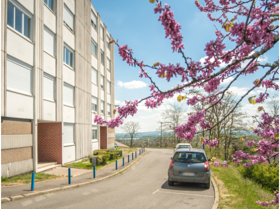 Appartement Le Creusot 3 pièces - 507.99€