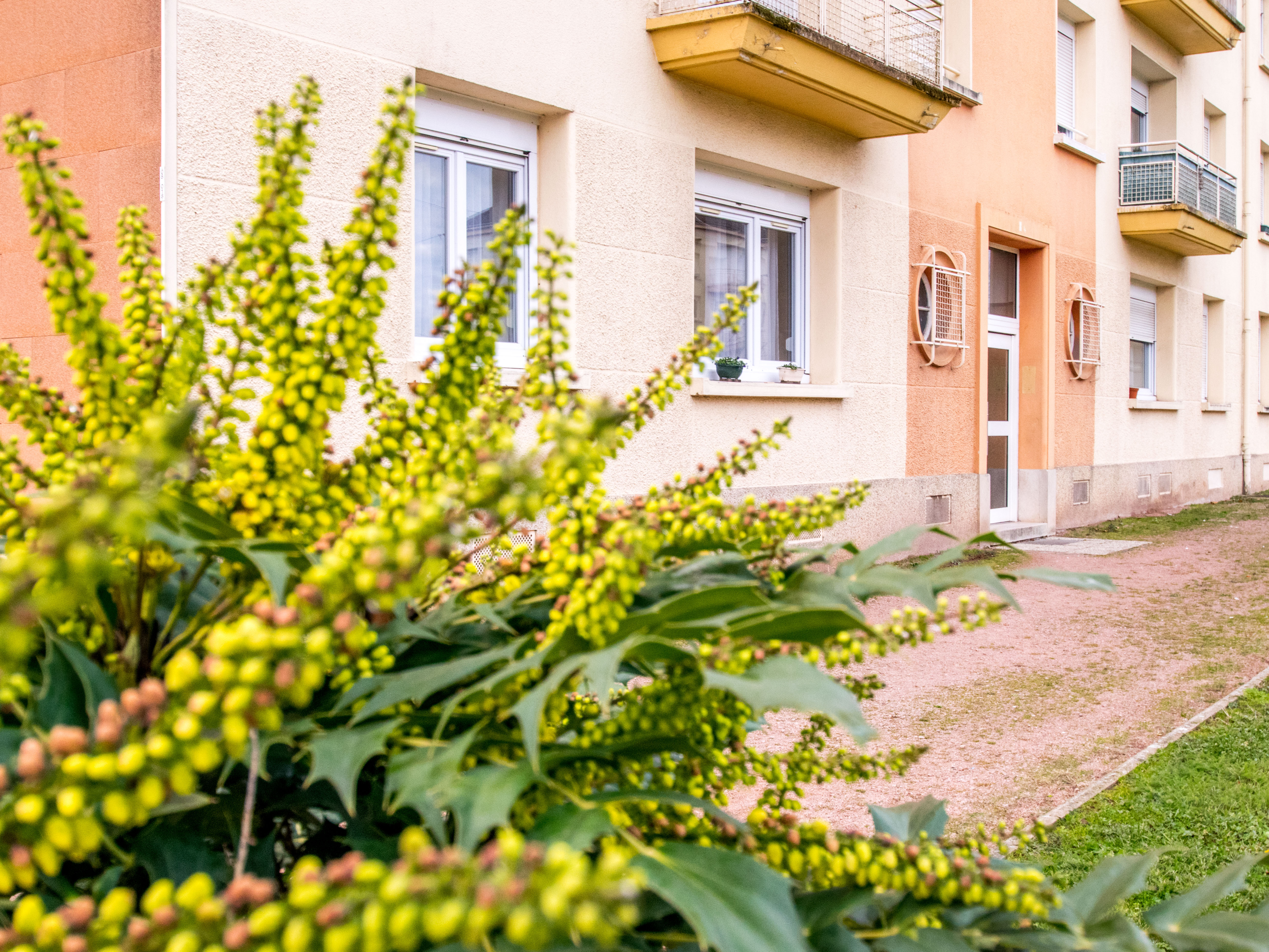 Appartement à Torcy